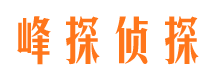 蜀山市场调查